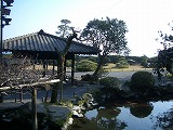 観光