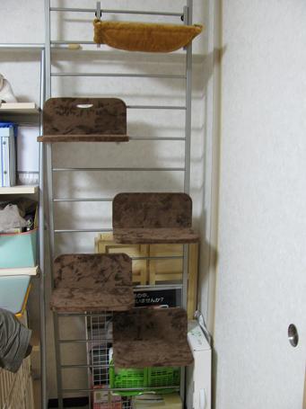 キャットウォーク1