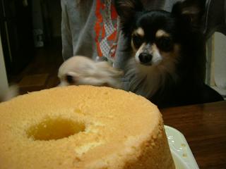 早くちょうだい♪