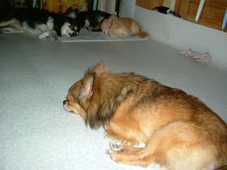 近づけないよぉ