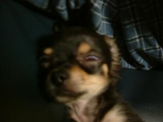 白目がこわ～い