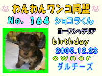 ワンワン：164.jpg
