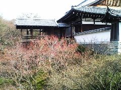 06031東福寺 (17).JPG