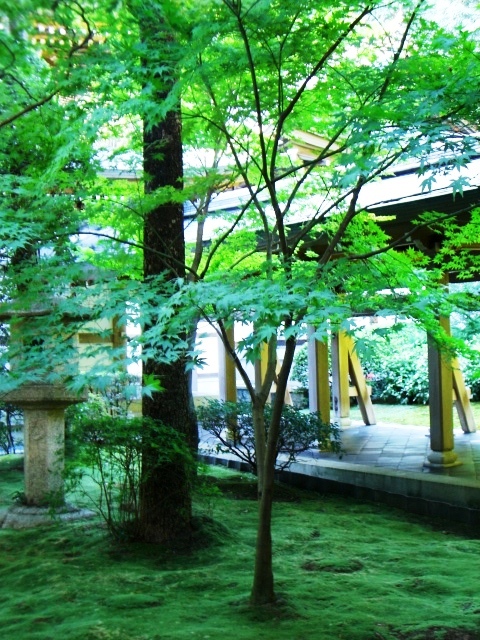 060922＆23天橋立 (251)京都世界遺産龍安寺.JPG