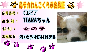 はなでかＴＩＡＲＡ