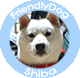 friendlyshiba2_blue.gif