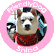 friendlyshiba2_pink.gif