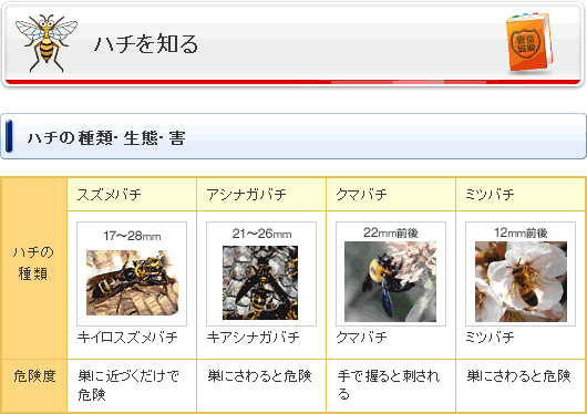 ハチを知る