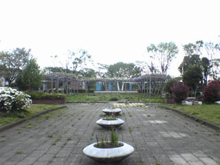 20070423_noge.jpg