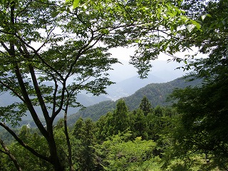 途中から見た景色。