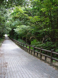 三段壁の遊歩道