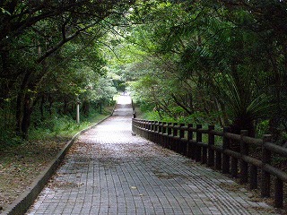 三段壁の遊歩道５