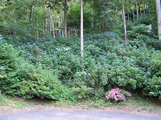 第１８番恩山寺