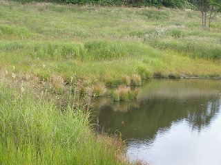 砥峰高原２