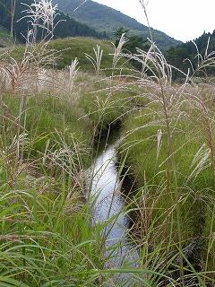 砥峰高原３