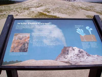 Ｗｈｉｔｅ　Ｄｏｍｅ　Ｇｅｙｓｅｒ