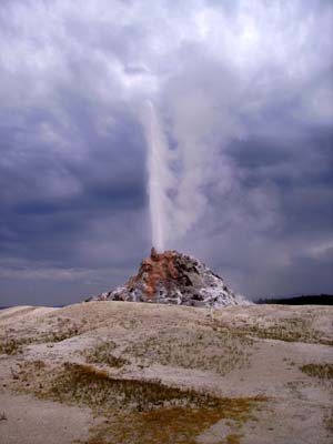 Ｗｈｉｔｅ　Ｄｏｍｅ　Ｇｅｙｓｅｒ