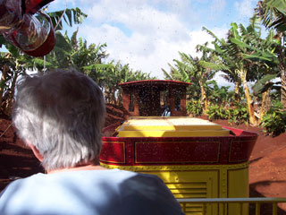 Dole ride