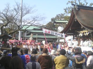 2011はだか祭り4