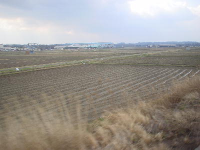 関西本線らしい風景