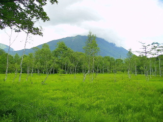 湿原