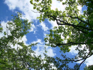 青空