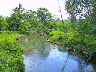 橋の下流