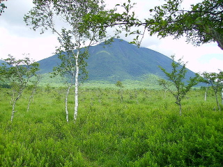 戦場ヶ原からみた男体山