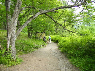 赤沼からの入り口