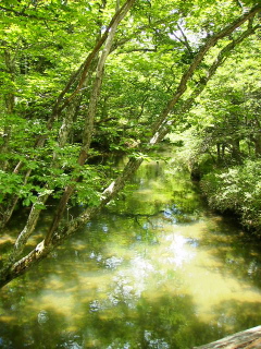 橋からの風景