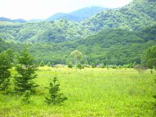 小田代が原