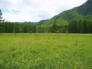 小田代が原　その２