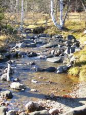 一の瀬園地(水辺)