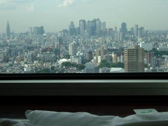 サンシャインプリンスホテルから新宿を望む