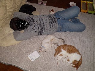 にゃんず＋1人　щ(￣∀￣)ш ヶヶヶ