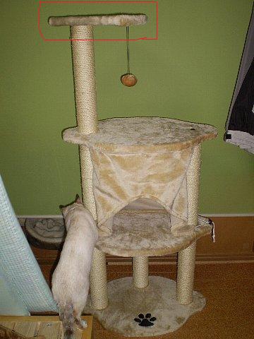 赤く囲ったとこ、一番狭い(^^;)