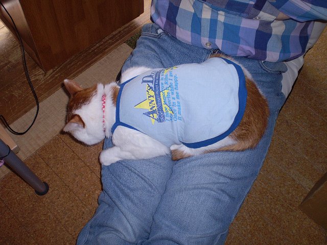 あったかいにゃ。