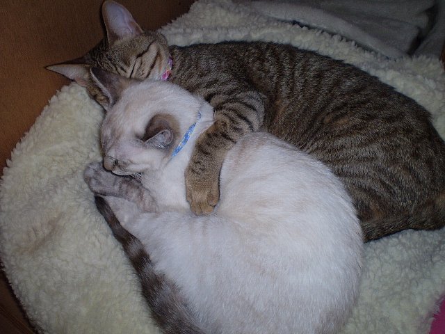 ♀心わからず・・・