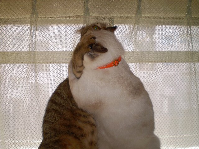 タワーの一番上で(〃д〃)きゃ～♪