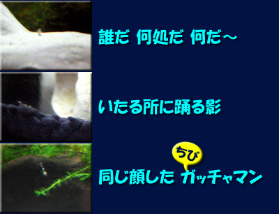 ちびガッチャマンの歌詞01