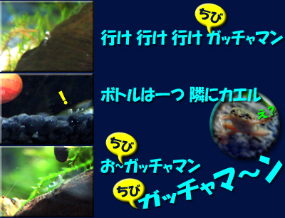 ちびガッチャマンの歌詞03