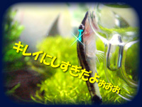 ジャックの涙・・・