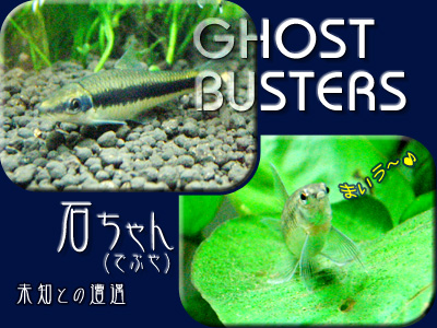 ゴーストバスターズ&石ちゃん