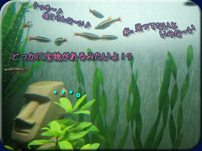 アカヒレ達は・・・