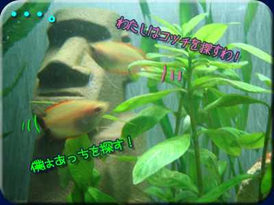 グラミーは・・・