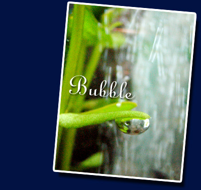BUBBLE