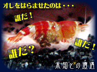 G-2　コンドルのジョー