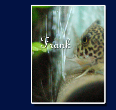 FRANK