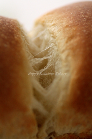 ヨーグルト酵母で食パン3.jpg