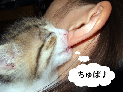 耳ちゅぱ.jpg